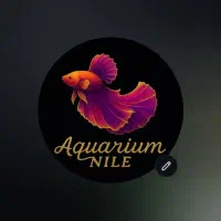 فروشگاه آکواریوم و ماهی زینتی نیل