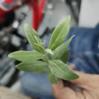 خط تلفن ثابت مرکز تهران