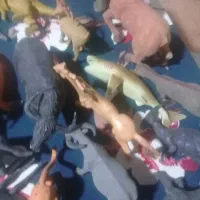 فیگور حیوانات کلکسیونی