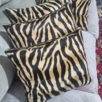 دیجیتال  کوسن|صوتی و تصویری|شیراز, دکتر حسابی|دیوار