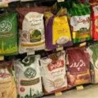 مینی حاجی ارزانی