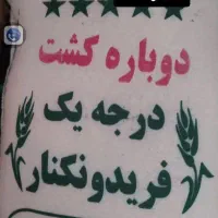 برنج شمال و گیلان