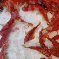 ماهی قرمز|ماهی|مبارکه, |دیوار