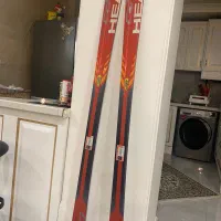 چوب اسکی آلپاین