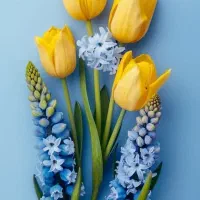 خانه ویلایی