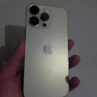 14پرومکس گلد