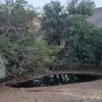 گردش‌‌تفریح‌‌طبیعت‌گردی‌‌وروستاهای‌اطراف|تور و چارتر|قم, سالاریه|دیوار