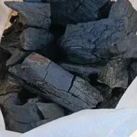 ذغال بفروش میرشد