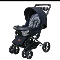 کالسکه دلیجان