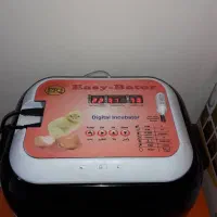 جوجه کشی ۱۲ تایی