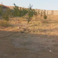 باغ