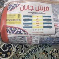 فرش ۶متری|فرش|قم, آذر (نکویی)|دیوار
