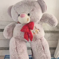 عروسک خرس|اسباب‌بازی بچه|بیرجند, |دیوار