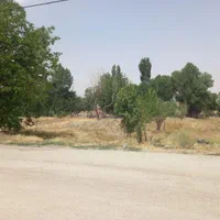 زمین سیفی کاری وباغی|فروش زمین و ملک کلنگی|همدان, |دیوار