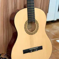 گیتار خوش صدا سانچز