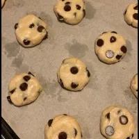 کوکی|خدمات پذیرایی، مراسم|اردبیل, |دیوار