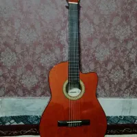 گیتار c80 طرح