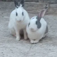 با این شماره تماس بگیری