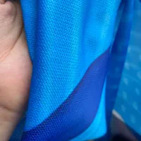 پرده پانچ سونیک