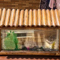 آکواریوم طرح کلبه