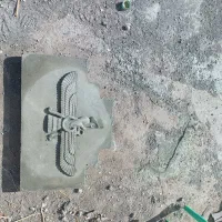 حفاظ دور باغچه ای شاهانه....|خدمات باغبانی و درختکاری|بم, |دیوار