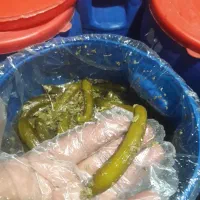 پخش خیارشوروترشیجات|عمده‌فروشی|اهواز, سلطانمنش|دیوار