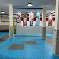 فروش تاتمی|تجهیزات ورزشی|شیراز, فرهنگ شهر|دیوار