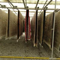 قالیشویی صنعتی دامنه سبلان|خدمات نظافت|اردبیل, |دیوار