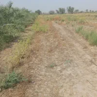 فروش-یامعاوضه