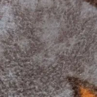 موکت دست دوم