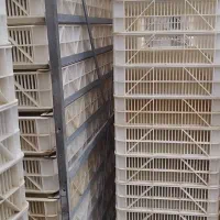 راک ستر هچر جوجه کشی سبد جعبه شانه مرغ بلدرچین کبک|لوازم جانبی حیوانات|تهران, پارک شهر|دیوار