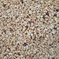 کارگر خانم در تفت|استخدام صنعتی، فنی، مهندسی|تفت, |دیوار