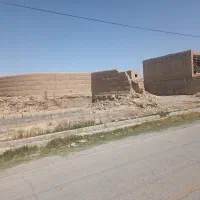 فروش زمین در یزد|خدمات باغبانی و درختکاری|مهریز, |دیوار