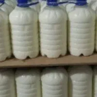 دوغ گوسفندی