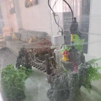 آکواریوم|ماهی|گرمدره, |دیوار