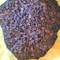 کشمش عسگری|خوردنی و آشامیدنی|قزوین, |دیوار