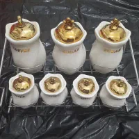 پاسماوری حراج