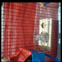 جفت اصل هیکل قول پیکر جامبو پاستیل|پرنده|چمران, |دیوار