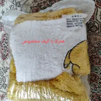 لباس تدی|لباس|صومعه‌سرا, |دیوار