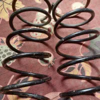 فنرپژوسالم