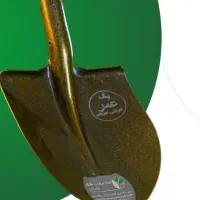 بیل با ضمانت یک عمر