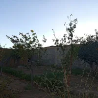 اجاره سوله