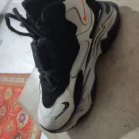 نیم بوت|کیف، کفش، کمربند|رباط‌کریم, نصیرشهر|دیوار