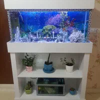 آکواریوم هایگلاس ۱متری