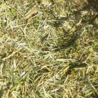 یونجه|لوازم جانبی حیوانات|دهگلان, |دیوار