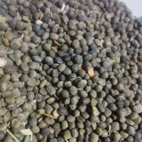 سیاه دانه تمیز