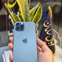 گوشی iphone 12pro max درحد نو