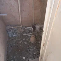 تهرونی درجه یک