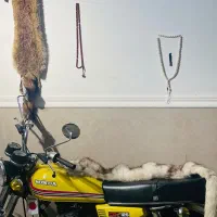 سیجی 125|موتورسیکلت|بوشهر, |دیوار