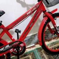 دوچرخه دختر پسرانه سایز 16و 20 درحد نونو کادویی|دوچرخه، اسکیت، اسکوتر|مشهد, طبرسی شمالی|دیوار